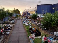 hawthorns.jpg
