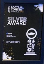 Silver Award.jpeg