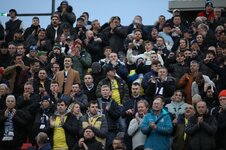 Travelling Shrimpers 5.jpg