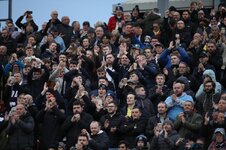 Travelling Shrimpers 6.jpg