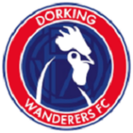 Dorking Wanderers.png
