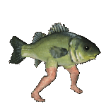 Fishy3.gif