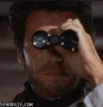 IMG_1597.gif