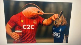 prawn and owl.jpg