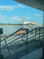 IMG_7366.jpeg