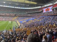 SUFC 2.jpg