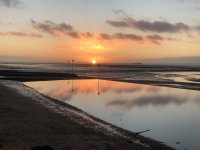 IMG_9928.jpeg