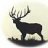 Greenelk